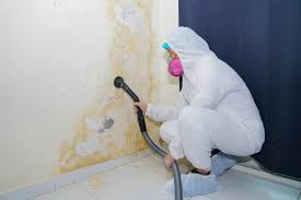 Reliable Thornwood, NY Mold Prevention & Removal  Solutions